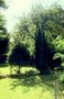 Gaestezimmer: Essen-R�ttenscheid, Ruhrgebiet, Nordrhein-Westfalen